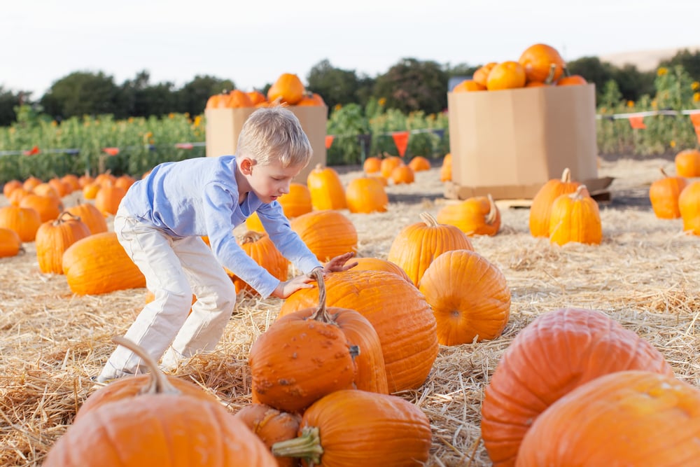 the pumpkin prayer