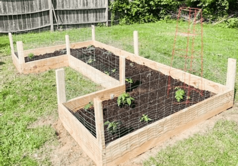 small garden ideas for kids