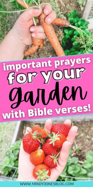 prayers for your vegetable garden